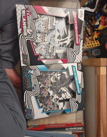 Coffret classeur pokemon flamme blanche et foudre noir