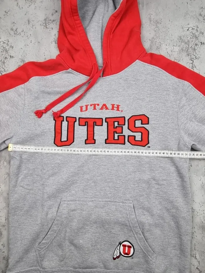 Pull capuche universitaire gris/rouge, L Hommes - photo numéro 7