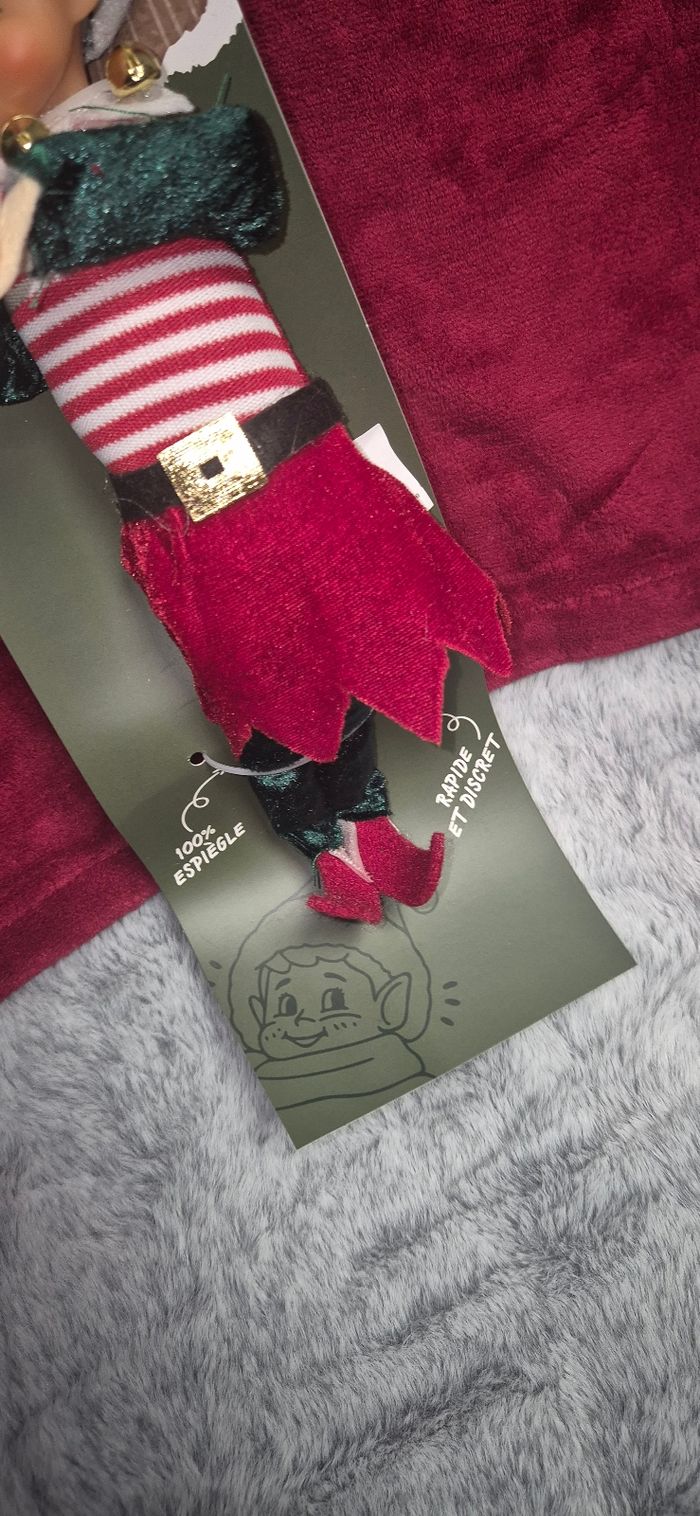 Duo lutins farceurs - photo numéro 5