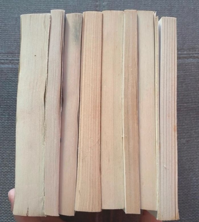 Lot livres - photo numéro 5