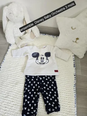 Ensemble Disney