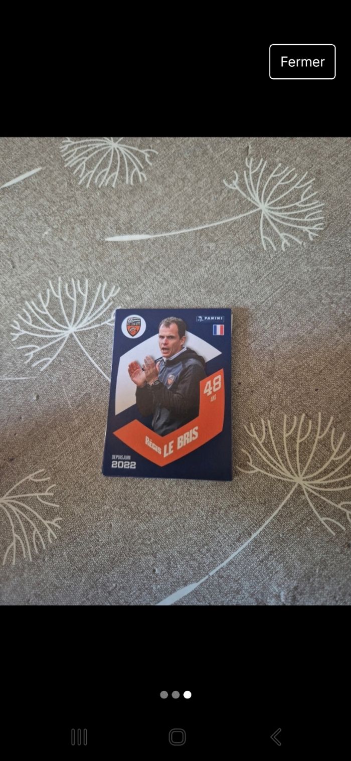 Stickers panini foot 2024 - photo numéro 3