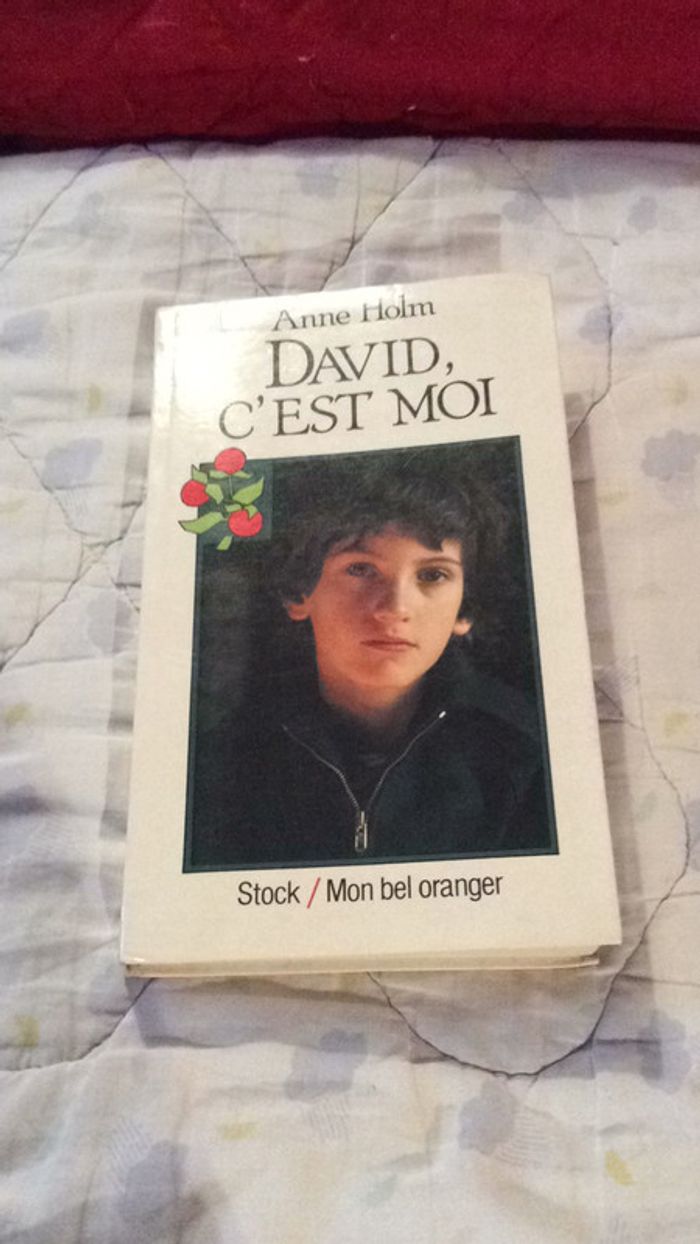 #David c’est moi par Anne Holn - photo numéro 2
