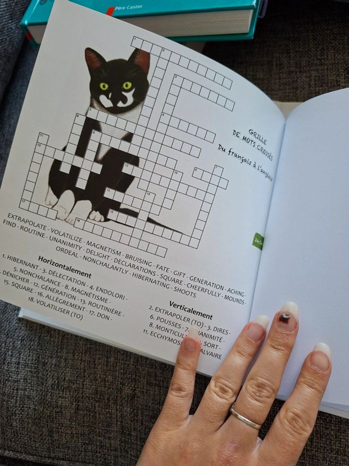 Livres pour enfant en anglais et français Le chat guerisseur - photo numéro 6