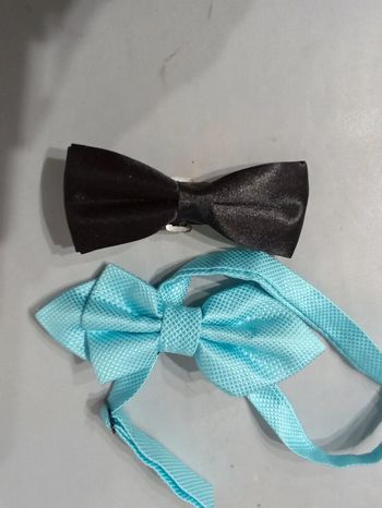 Lot deux noeuds papillons