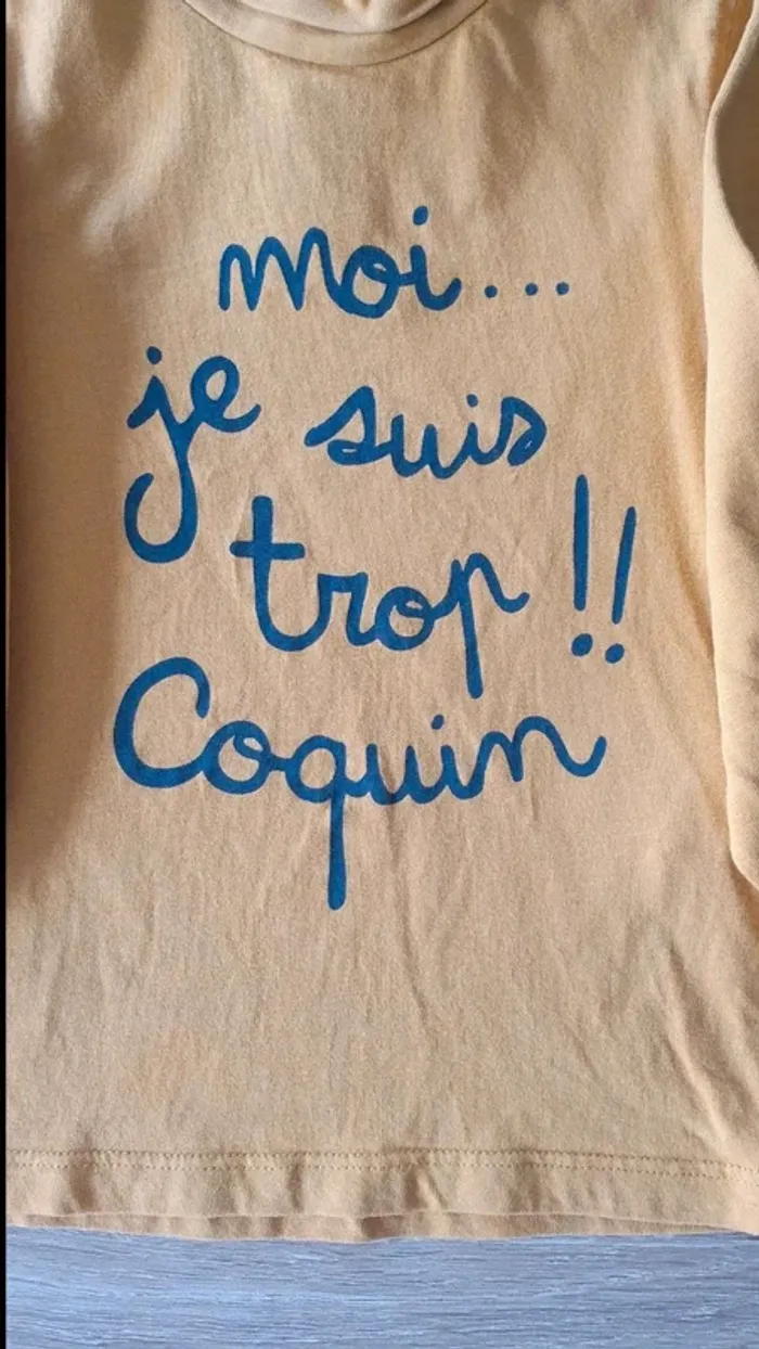 Lot de 4 tee-shirts manches longues 24 mois - 2 ans - photo numéro 11