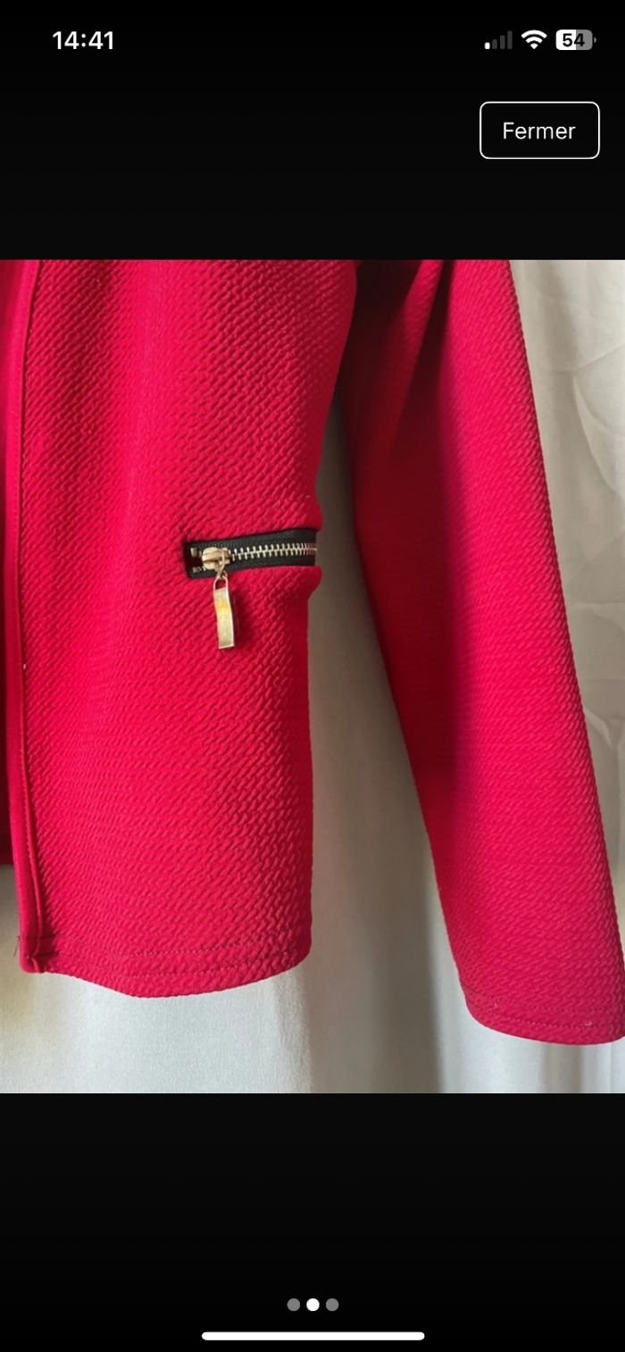 Blazers - photo numéro 2