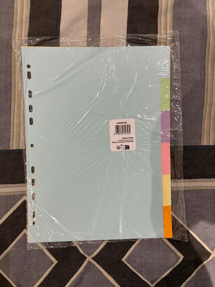 Lot de 6 intercalaires pastels exacompta neuf