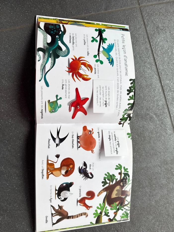Livre mon Larousse animé des animaux - photo numéro 5