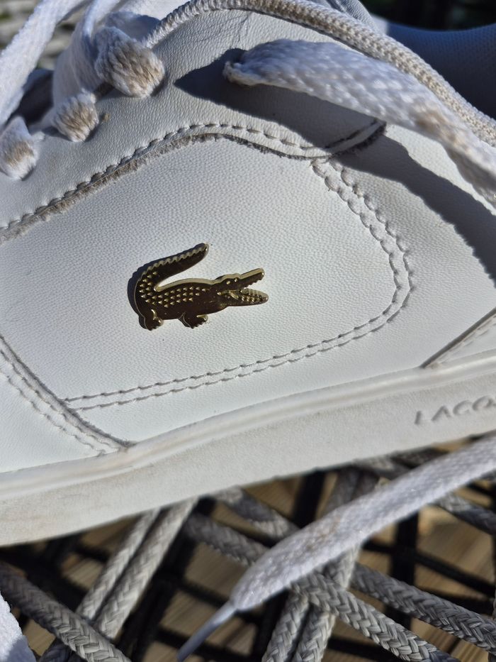Baskets lacoste - photo numéro 3