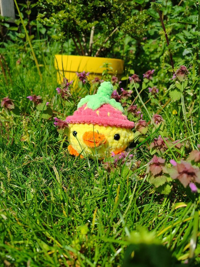 Fruity - Poussin au Chapeau-Fraise - photo numéro 2