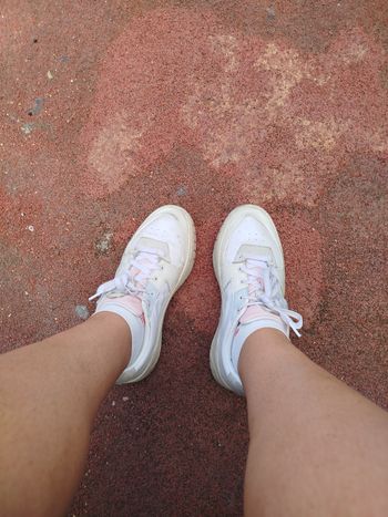 Basket puma