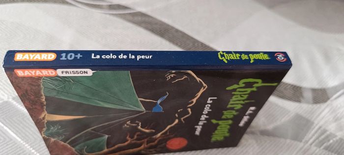 Livre chair de poule - photo numéro 3