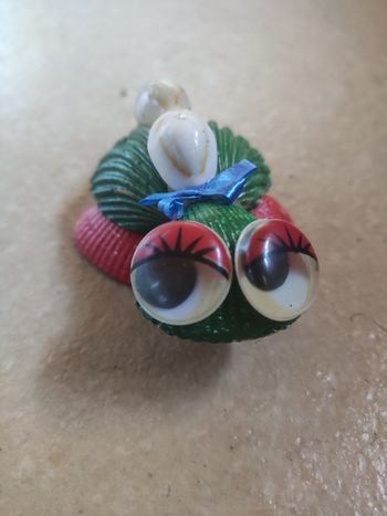 Tortue en coquillage
