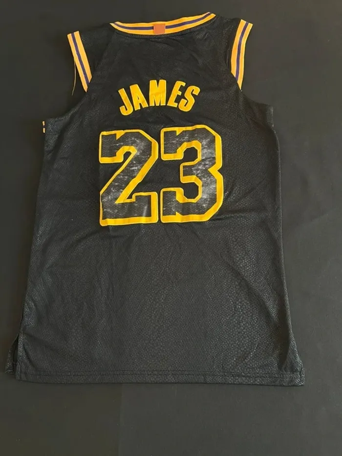 Maillot Lakers Numéro 23 Lebron James Swingman - photo numéro 10