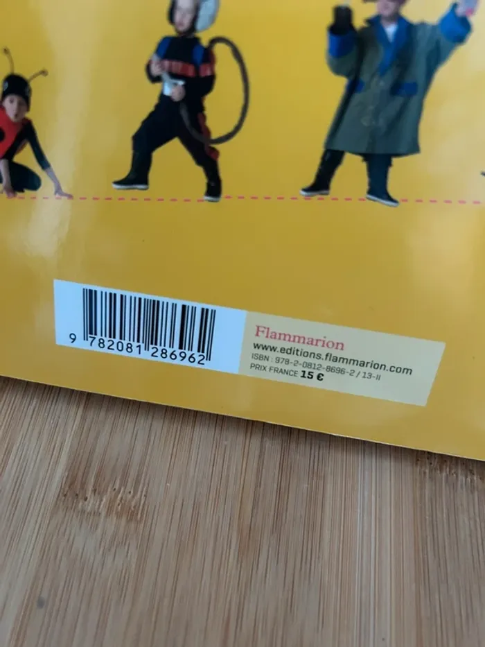 Livre 35 activités: déguisements pour petits et grands - photo numéro 4