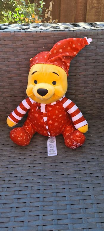Winnie L'Ourson Disney Stone 2021