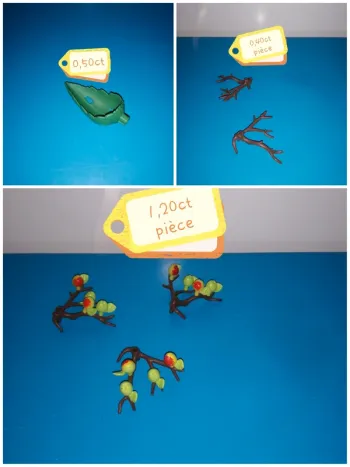 Thème* végétation / cyprès - pommier