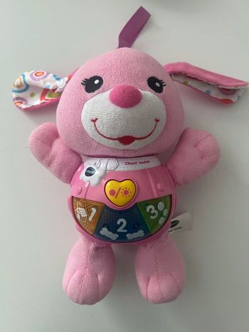 chant toutou rose