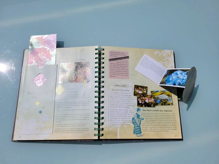 Le Carnet Jardinier, animé, Astuces et Petits secrets à cultiver 🪷 (35) - photo numéro 14