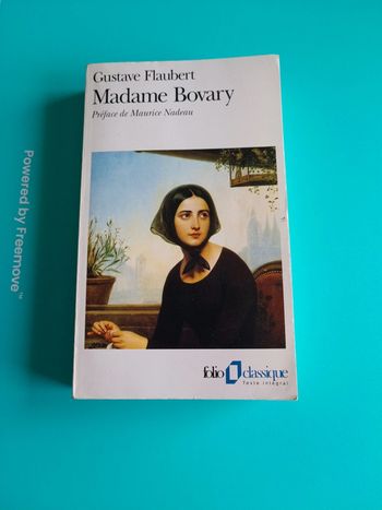 Livre madame bovary