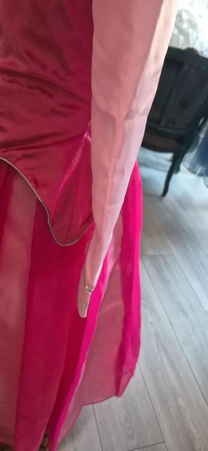 Robe princesse disney - photo numéro 8