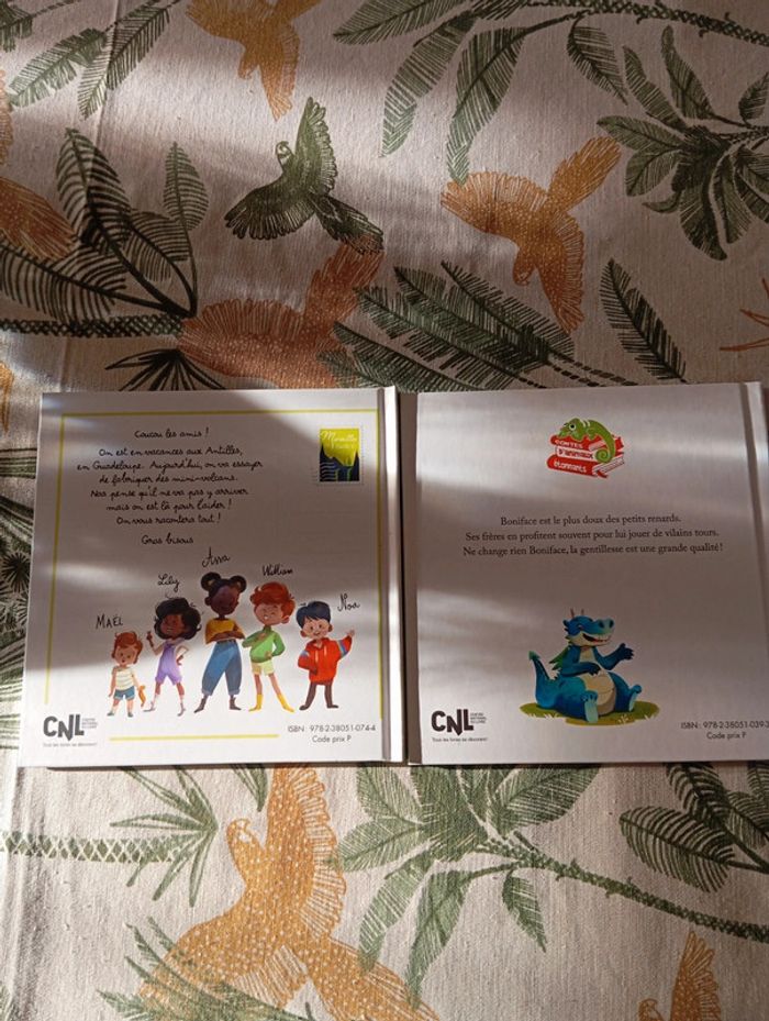 Lot de 2 livres - photo numéro 2