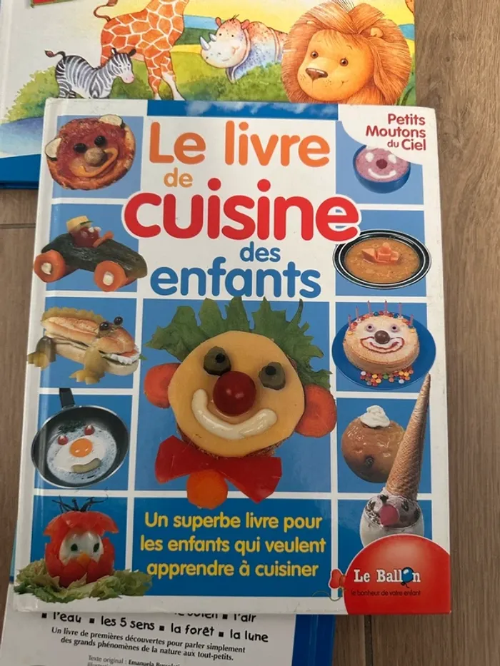 Lot de livre enfants petits x5 - photo numéro 4