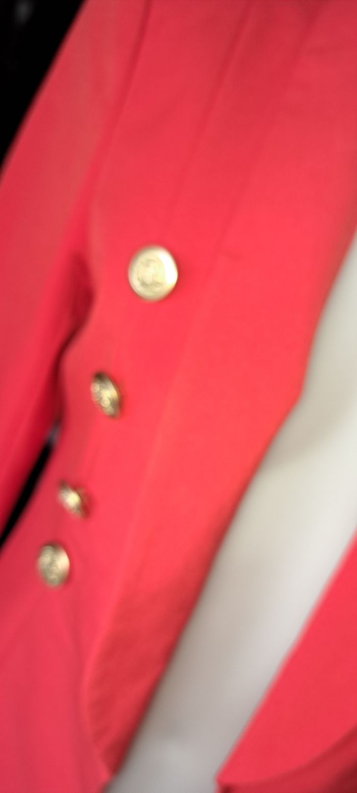 Blazer - photo numéro 2