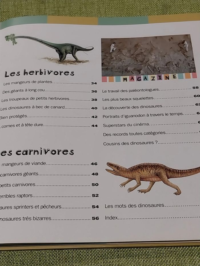 Les dinosaures livre enfant jeunesse Larousse - photo numéro 3