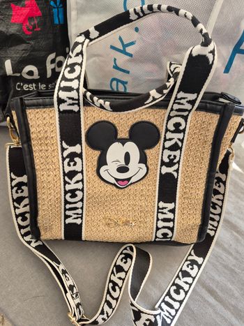 Sac Mickey