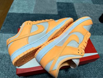 Nike dunk low pêche