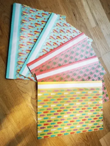 Lot de 5 pochettes