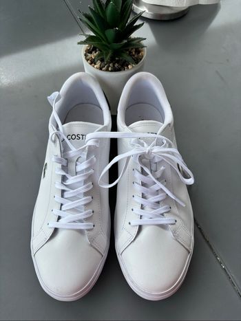 Chaussure homme Lacoste
