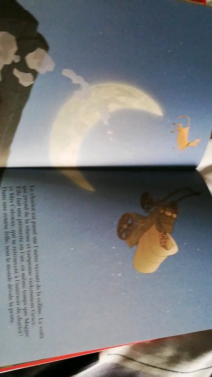 Livre Disney - photo numéro 2