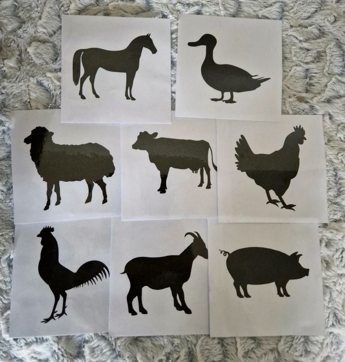 Lot de 8 cartes sensorielles