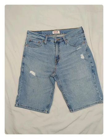 Jort Levis Signature bleu W28