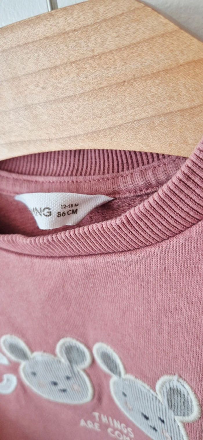 Sweat Mango - photo numéro 3