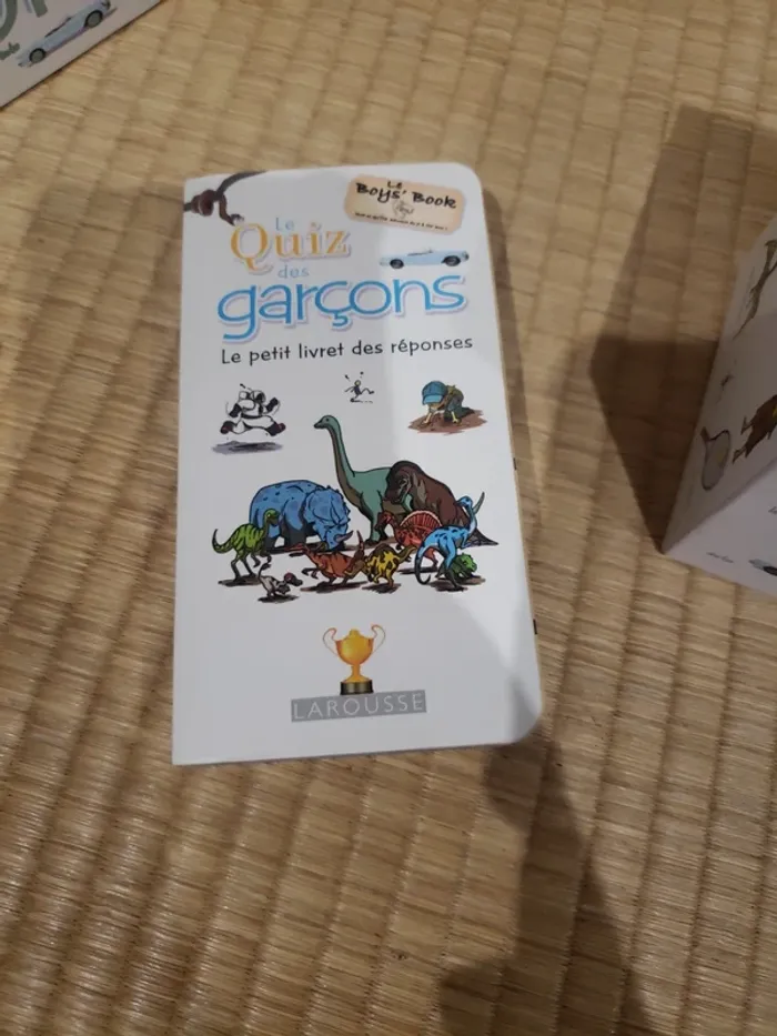 Le quiz des garçons - photo numéro 4