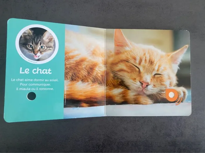 Livre sonore « Les animaux de compagnie » Auzou - photo numéro 4