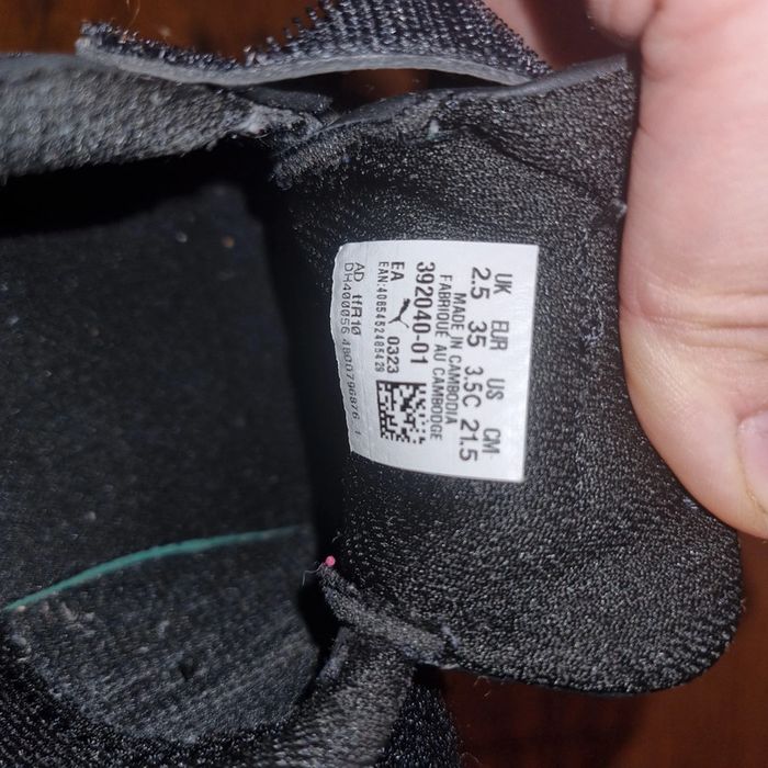 Puma scratch - photo numéro 6