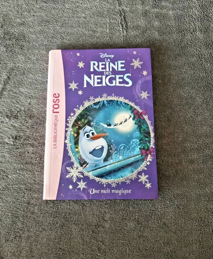 Livre La reine des neiges 13