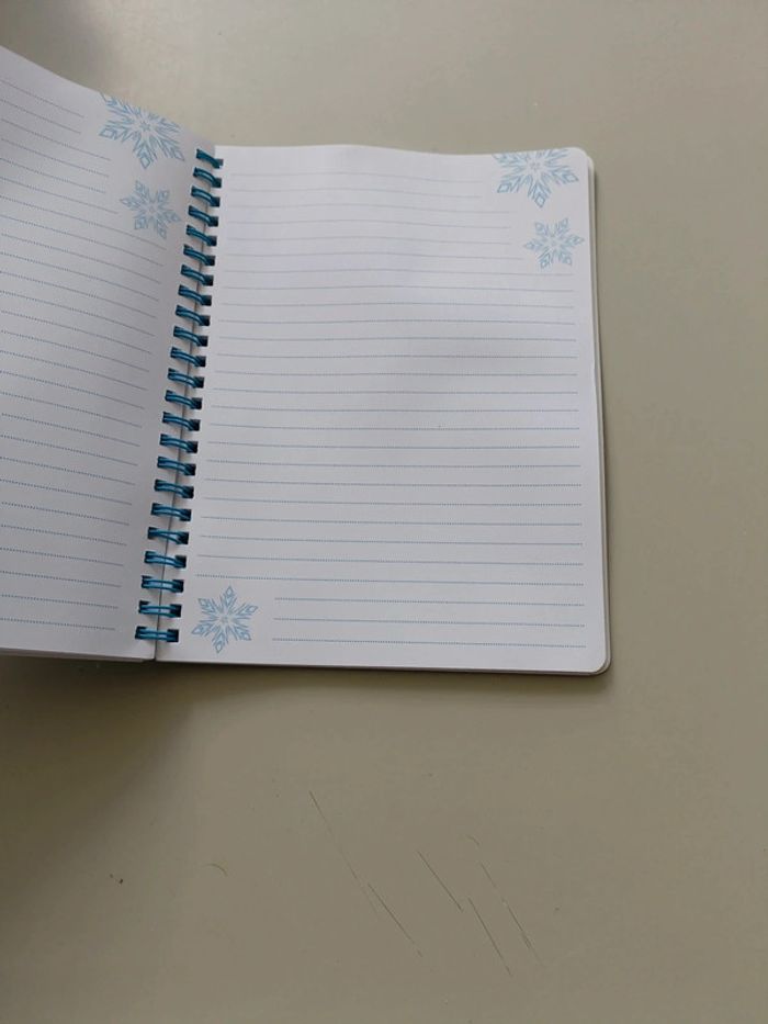 Cahier pour écrire la reine des neiges - photo numéro 2