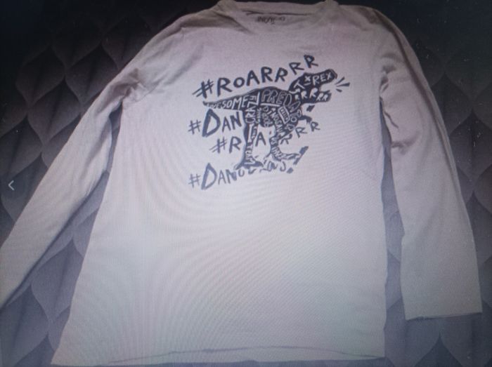 Lot de 2 Tshirt dino