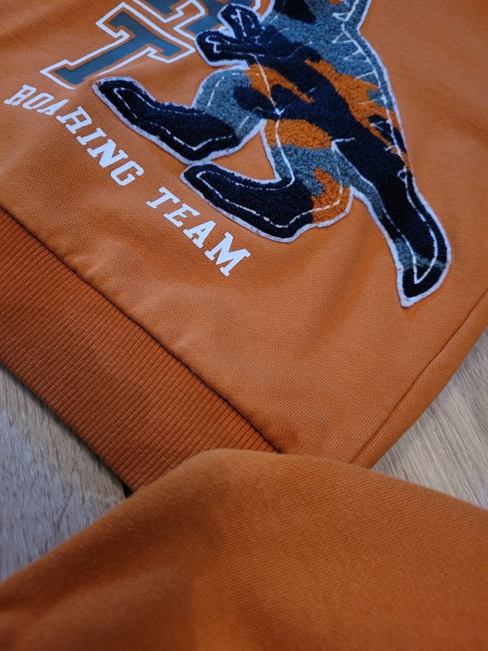 Sweat-shirts dinosaure à capuche - photo numéro 3