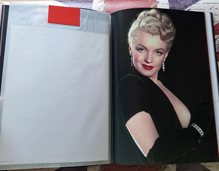 Les trésors de Marilyn Monroe - photo numéro 12