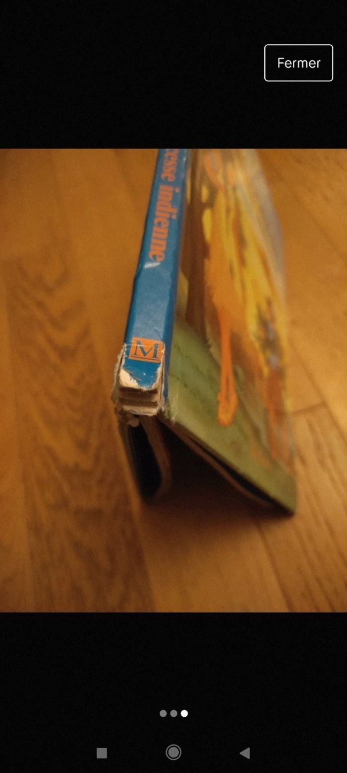 Livre Pocahontas - photo numéro 3