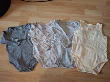 Lot 4 bodies