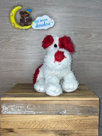 NOU176 doudou chien 🐶 nounours