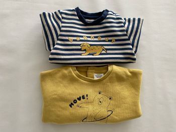 Lot de 2 sweat-shirts imprimé manches longues Tape à l’œil